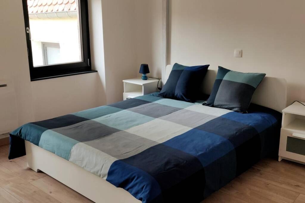 Le Blue, Appartement De Standing En Hyper-Centre Sarreguemines Zewnętrze zdjęcie
